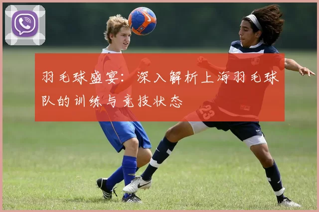 羽毛球盛宴：深入解析上海羽毛球队的训练与竞技状态