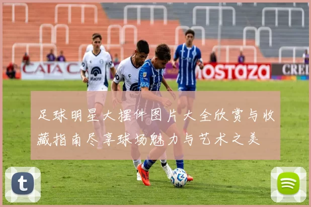 足球明星大摆件图片大全欣赏与收藏指南尽享球场魅力与艺术之美