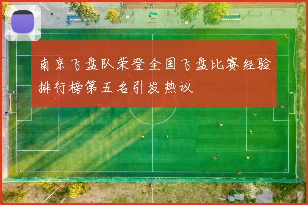 南京飞盘队荣登全国飞盘比赛经验排行榜第五名引发热议