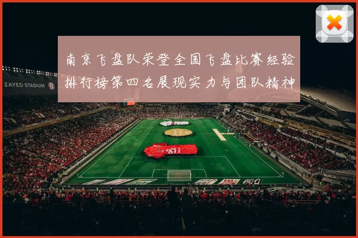 南京飞盘队荣登全国飞盘比赛经验排行榜第四名展现实力与团队精神