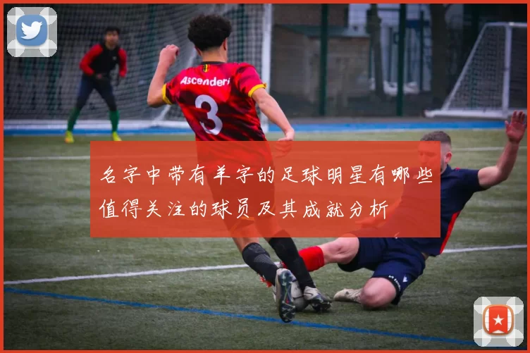 名字中带有羊字的足球明星有哪些值得关注的球员及其成就分析