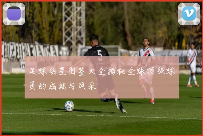 足球明星图鉴大全揭秘全球顶级球员的成就与风采