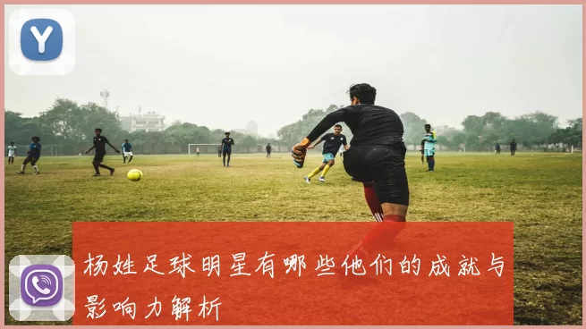 杨姓足球明星有哪些他们的成就与影响力解析