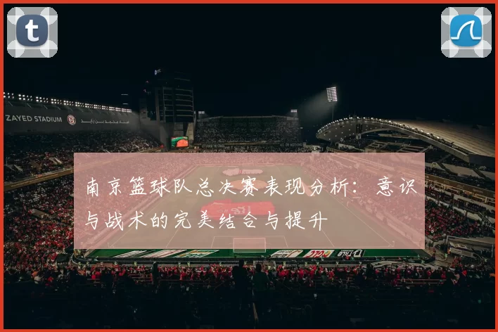 南京篮球队总决赛表现分析：意识与战术的完美结合与提升
