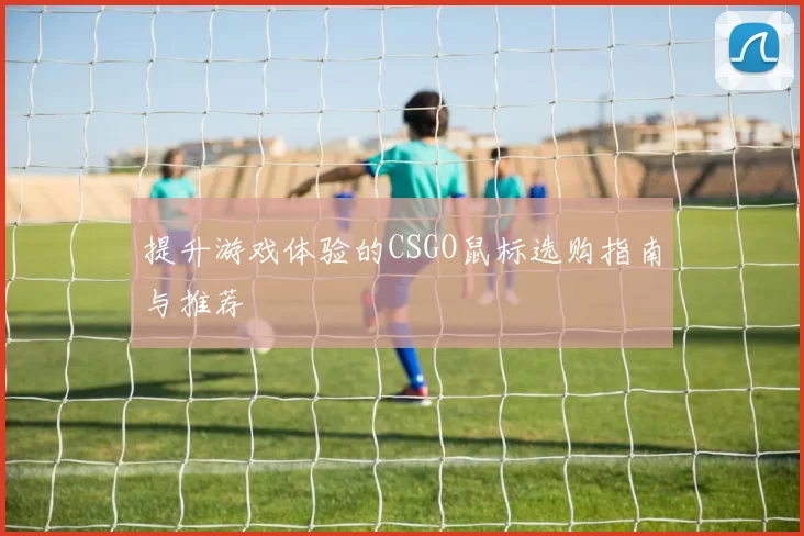 提升游戏体验的CSGO鼠标选购指南与推荐