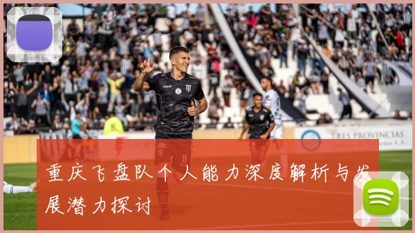 重庆飞盘队个人能力深度解析与发展潜力探讨