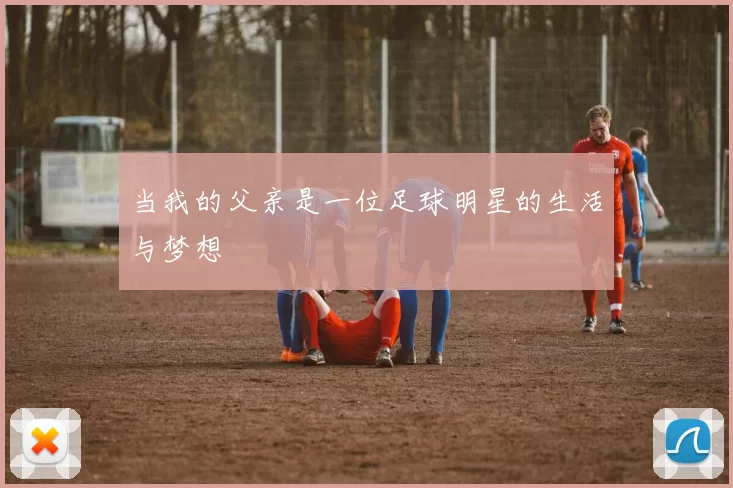当我的父亲是一位足球明星的生活与梦想