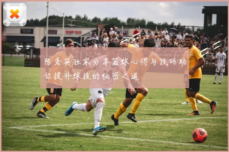 陈秀英独家分享篮球心得与技巧助你提升球技的秘密之道