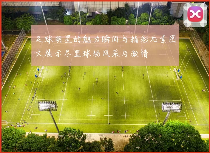 足球明星的魅力瞬间与精彩元素图文展示尽显球场风采与激情