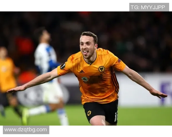 赵vv德甲球队:赵vv与德甲球队的关系与可能性分析